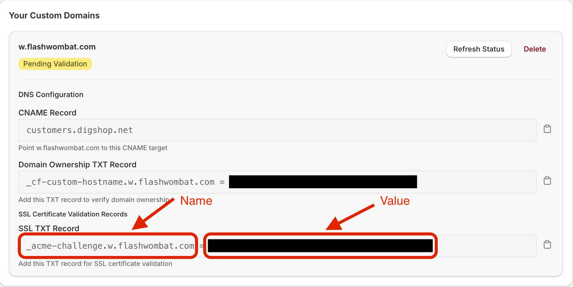 Set up TXT record for HTTPS